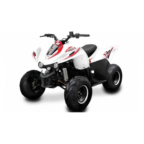 New Big Foot 110cc
